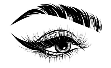 illustration of eye makeup and brow on white background - obrazy, fototapety, plakaty