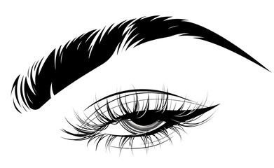 illustration of eye makeup and brow on white background