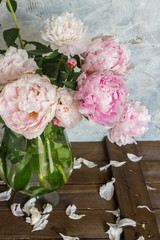Light rose peonies in glass vase. Gray background, woodden table.