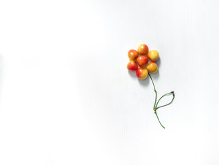 on a white background a flower of berries of a sweet cherry yellow red color a stalk of a sheet a place an inscription copy space
