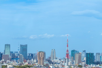Fototapeta premium 東京 首都 高層ビル群 panoramic view of the capital Tokyo
