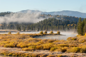 Foggy Morning Autumn Landscape in the Tetons