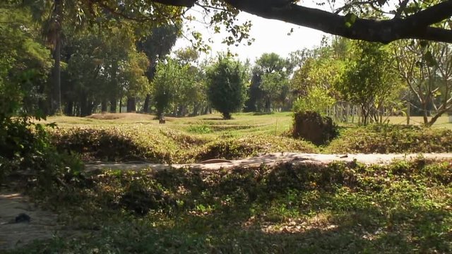 Zoom Out of Excavated Graves