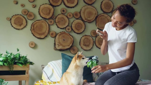 Happy dog owner attractive woman is shooting her dog with flowers on bed taking funny pictures of pet smelling and biting flowers, girl is having fun.
