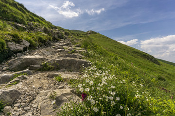 Beautiful mountain trail in the Tatra Mountains. Poland.
