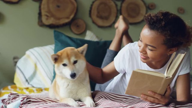 Young African American woman is reading book and caressing her pet dog resting on bed in beautiful modern apartment. Animal is enjoying its owner's love and care.