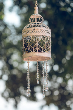 Beautiful bird cage with plants decoration