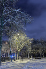 winter, night in a winter city, winter city, winter in a park, snow