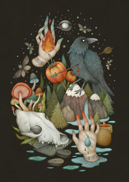 Rituals. Mystical illustration with skull, raven and natural elements