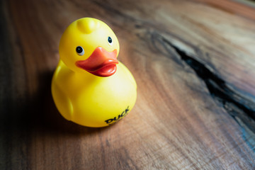 Rubber Duck