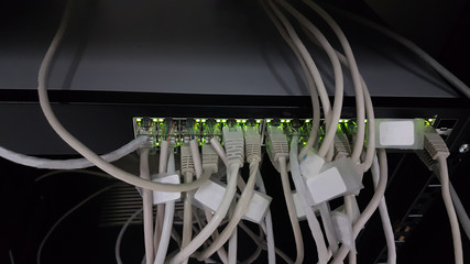 network connections wires  on switch for computer internet