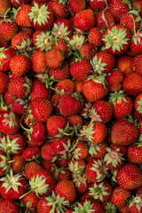 Strawberry. Fresh organic berries macro. Fruit background