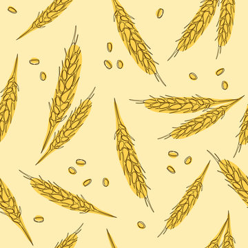Ears of wheat hand drawn seamless pattern. Whole grain, natural, organic background for bakery package, bread products. Vector illustration.