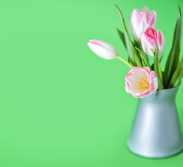 Pink tulips background