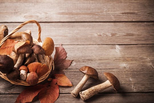 mushrooms in basket on wooden background