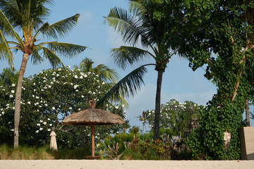 Fototapeta na wymiar Paradise resting place on the beach under the palms