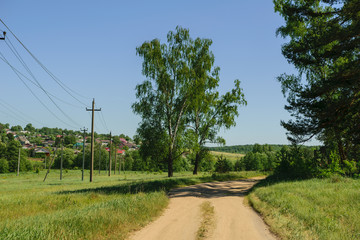 Country road in summer