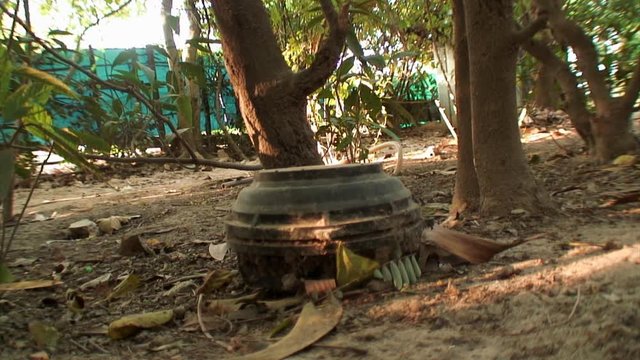 Landmine Sticks Out of Ground