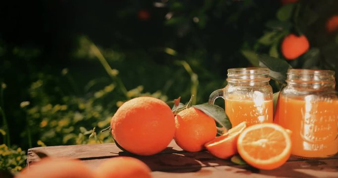 Fresh orange juice and oranges on wooden table in nature