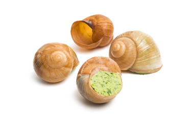 stuffed snail isolated