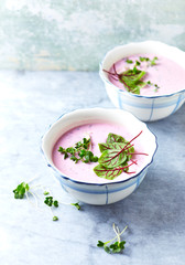 Cold Beetroot Soup with Dill, Radish Sprouts and Red Sorrel ; Polish Cuisine.  Home made food. Copy space.