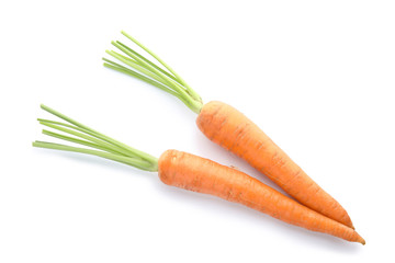 Ripe fresh carrots on white background