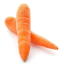 Ripe fresh carrots on white background