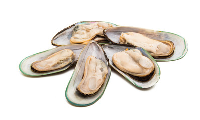 mussels isolated