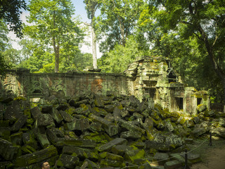 Fototapeta na wymiar Giant tree roots covering Ta Prom temple, Siem Reap, Cambodia, landmark in Siem Reap, Cambodia. Angkor Wat inscribed on the UNESCO World Heritage List. Archaeological enclosure. 