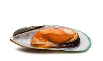 mussels isolated