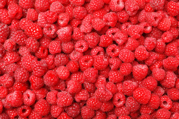 Ripe aromatic raspberries as background