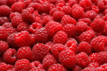 Ripe aromatic raspberries as background