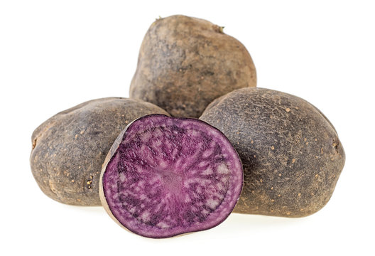 Purple potatoes on a white background. Vitelotte potatoes.