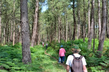 Groupe de randonneurs sur le sentier de la vallée du Trieux en Bretagne