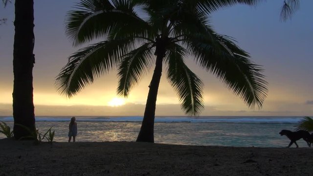 Slow Motion: Woman Together With Two Dogs Near the Shore