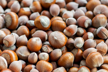 Hazelnuts