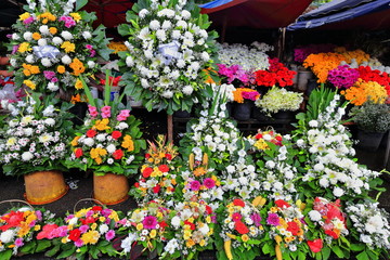 Fototapeta na wymiar Flowers for sale in a flower stand. Bacolod-Negros Occidental-Philippines. 0277