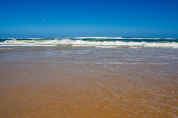 Beautiful empty paradise beach at the ocean with turquoise water, waves and yellow sand