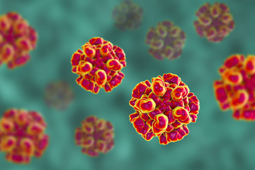 Hepatitis E viruses, 3D illustration, non-enveloped RNA viruses with fecal-oral transmission route, the causative agent of hepatitis
