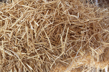 Straw Hay
