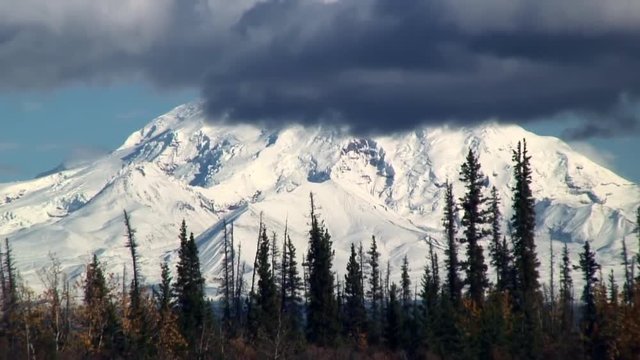 Zoom Out: Grey Cloud Touching Trees