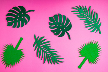 Abstract summer background. Summer trendy background with palm leaves on pink. Top view