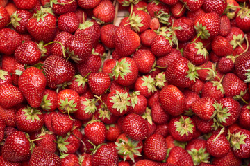 Summer background.Background from fresh and tasty sweet strawbrries. Top view . Organic concept