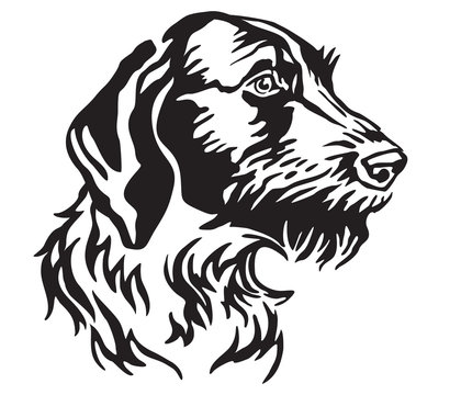 Decorative portrait of Dog German Wirehaired Pointer vector illustration