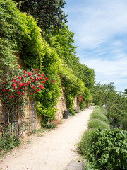 Fototapeta na wymiar Jardin du Rosaire, Lyon, France. It's a great place for the whole family to visit. The fresh breeze and calming green colors provide a relaxing atmosphere