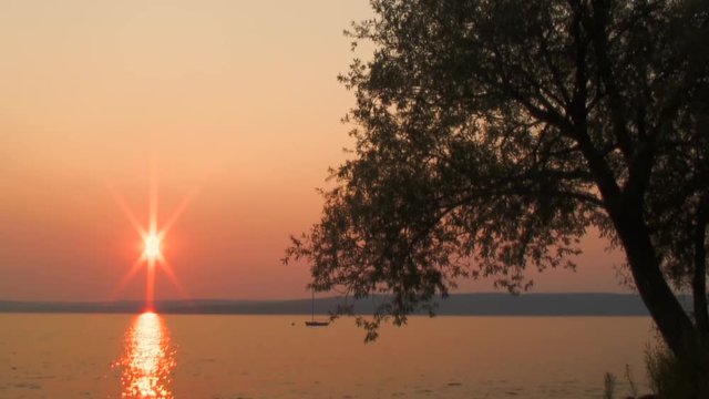 Long Shot: Sunset and Tree Over Lake Superior
