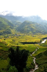 Les rizières de SaPa - Vietnam