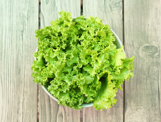 fresh green lettuce in bowl, healthy green salad