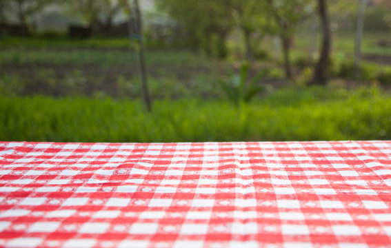 Picnic Table In The Garden - Summertime