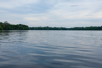 Panorama from Amazon rainforest, Brazilian wetland region.
